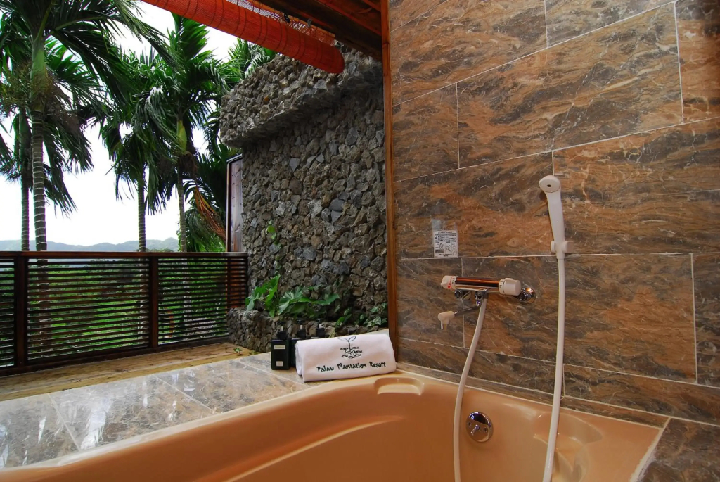 Palau Plantation Resort - фото 28
