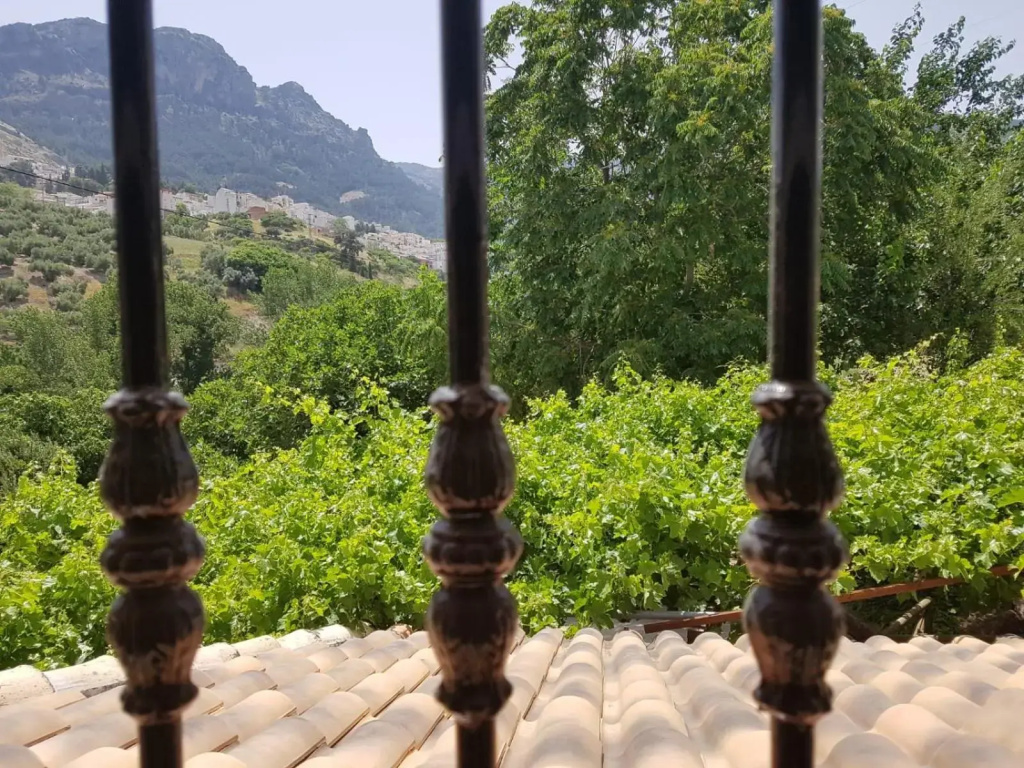 Casa Esteban