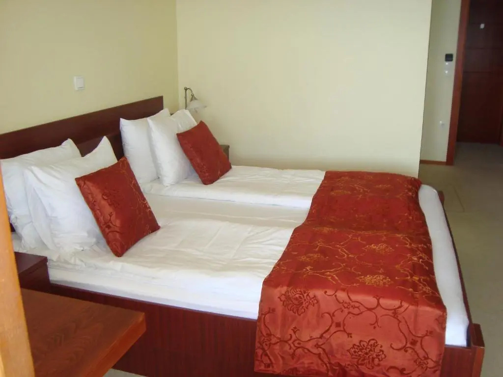 Superior Double room with lake view (full double bed)