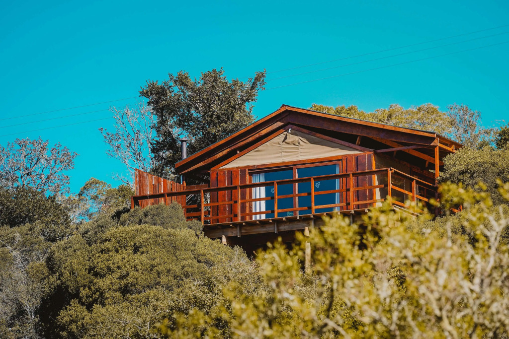 Barefoot Addo Elephant Lodge