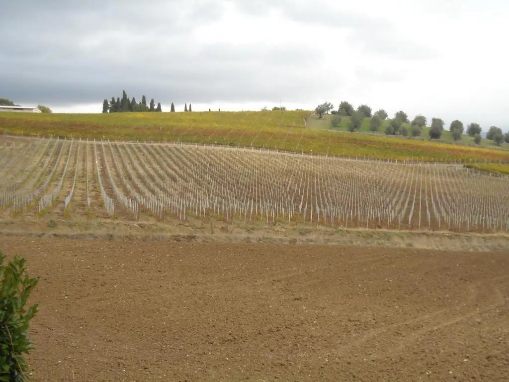 Agriturismo Vecchio Granaio