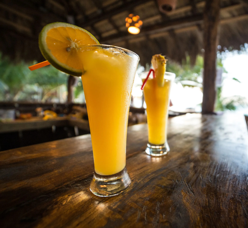 Cabarete Boutique Ecolodge Beachfront - Général