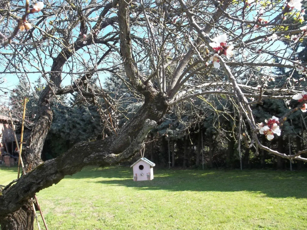 A Casa Vittoria Bed & Breakfast