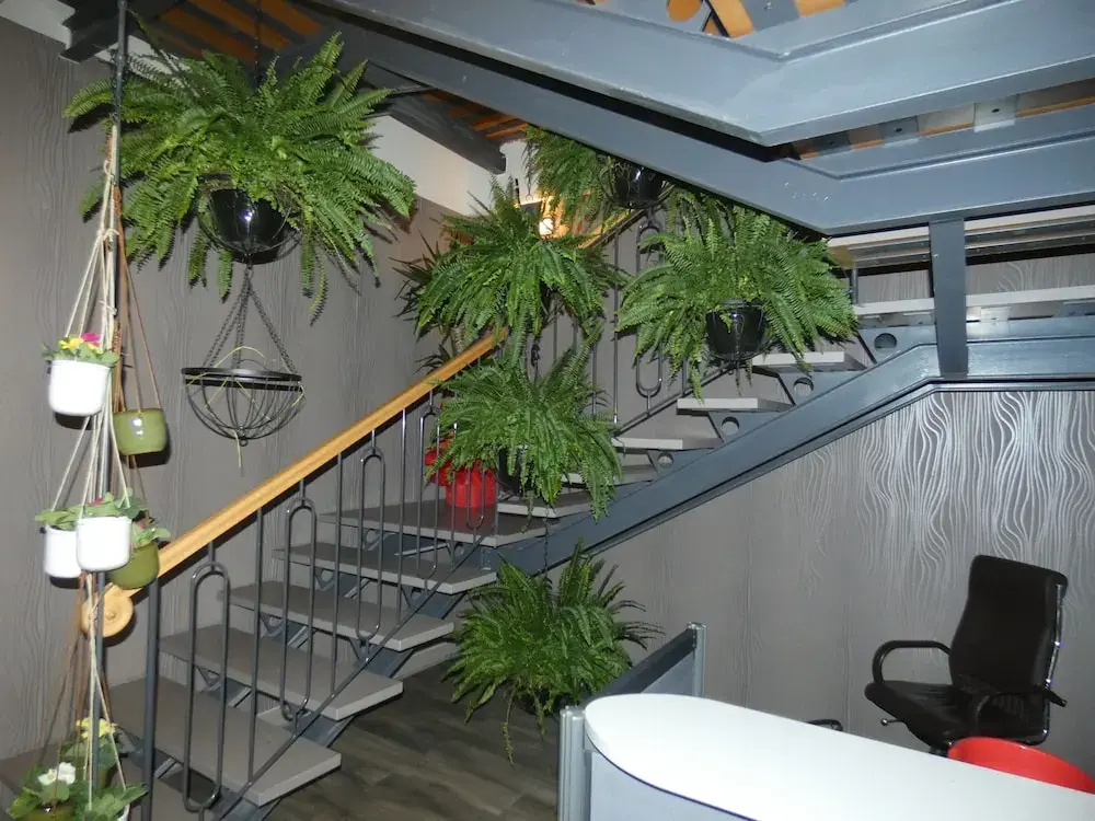 Hotel photo 14