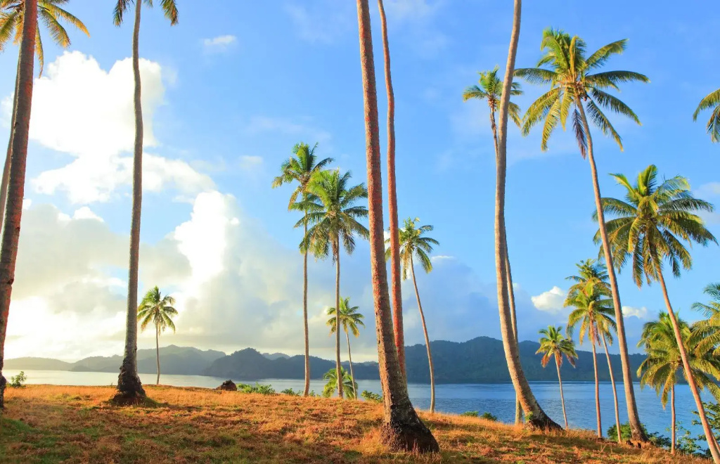 Matangi Island Resort - Adults Only - Général