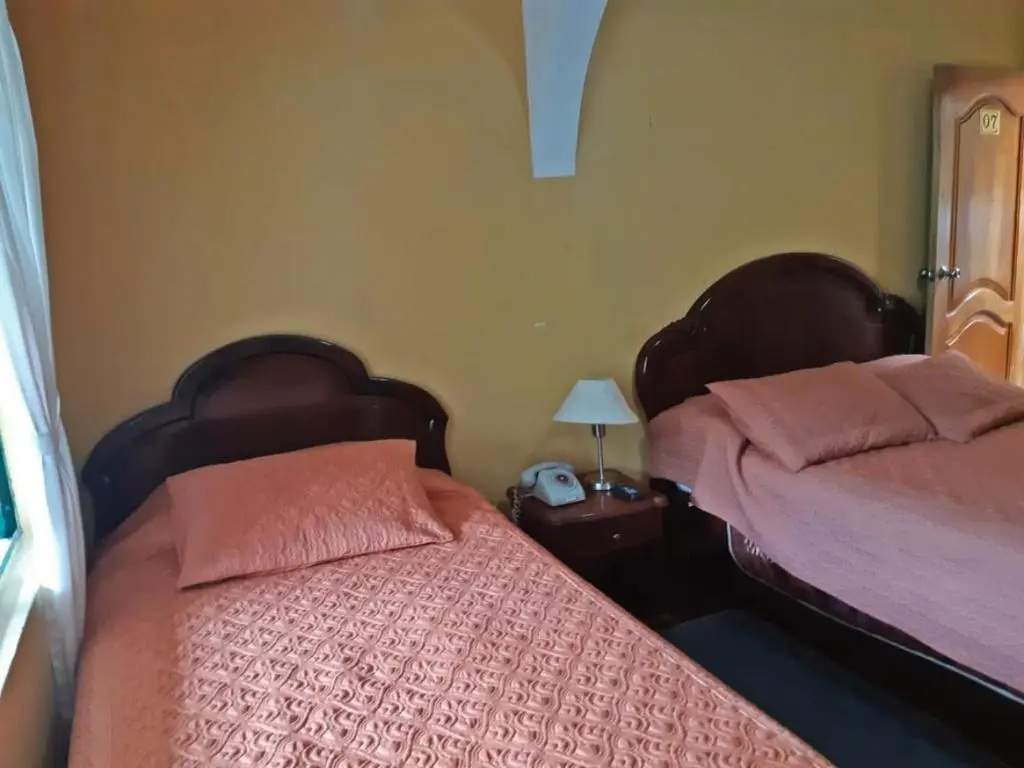 Standard Double room (twin beds)
