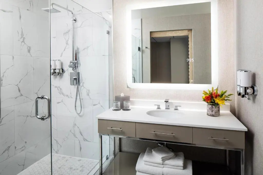 The Delaney Hotel Room Type - Standard Double room (full double bed)