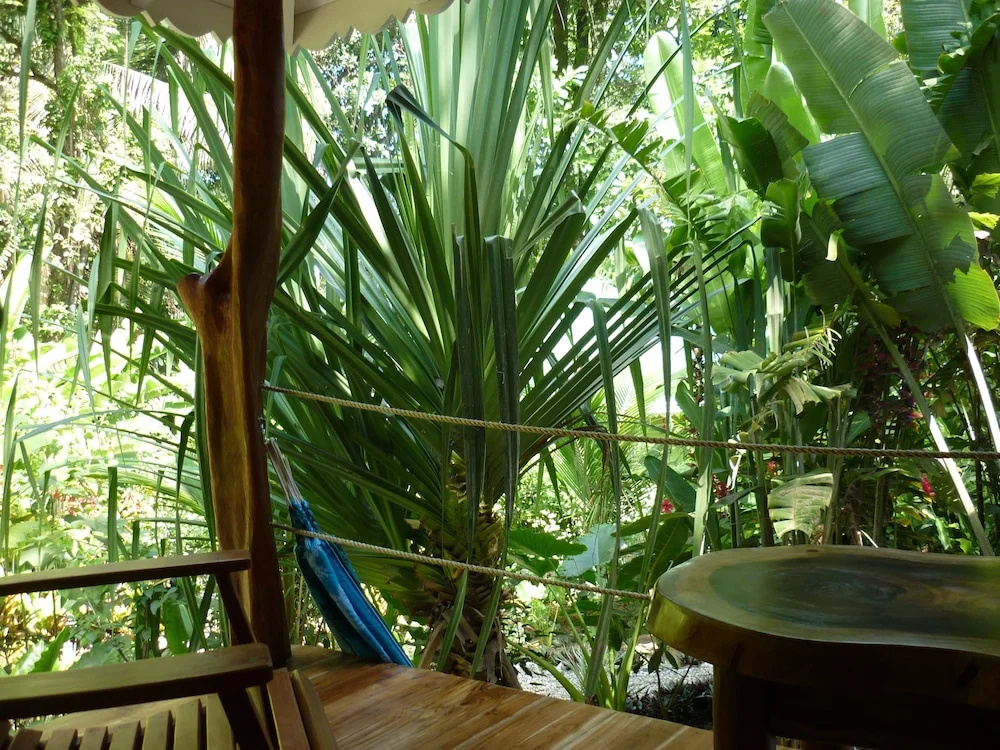 Hotel El Pequeño Gecko Verde - Chambres