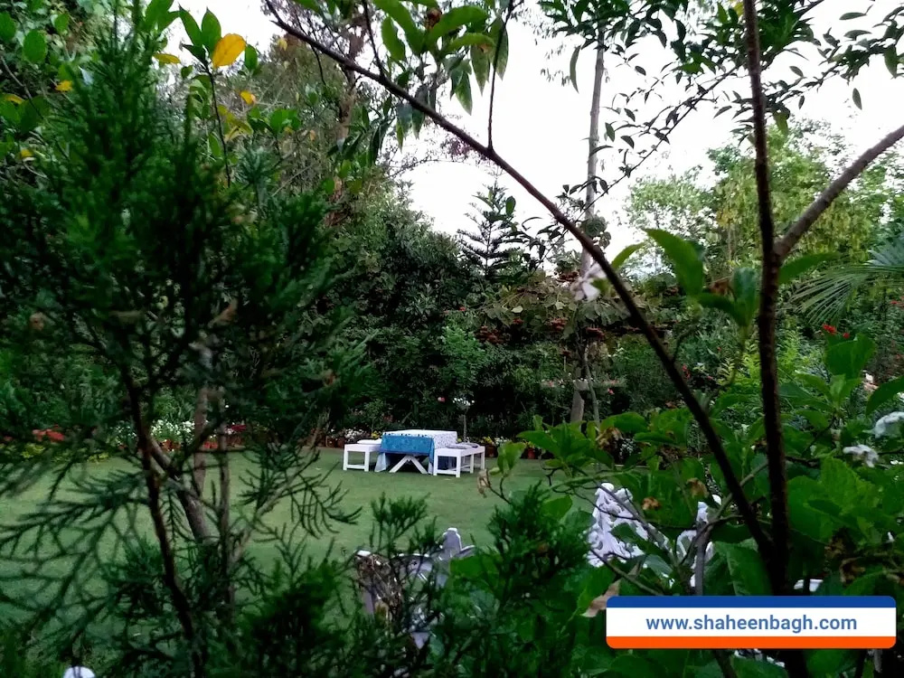 Shaheen Bagh A Luxury Resort Spa