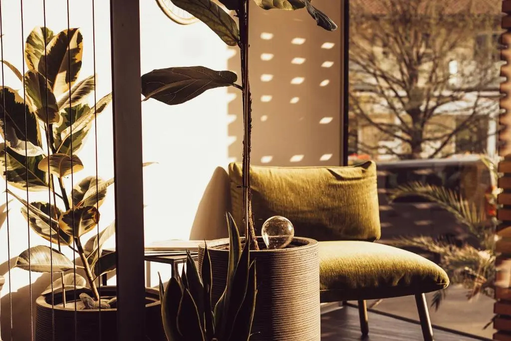 Balcony & Terrace