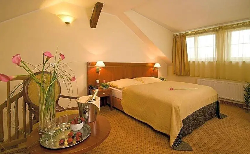 Duplex Apartment