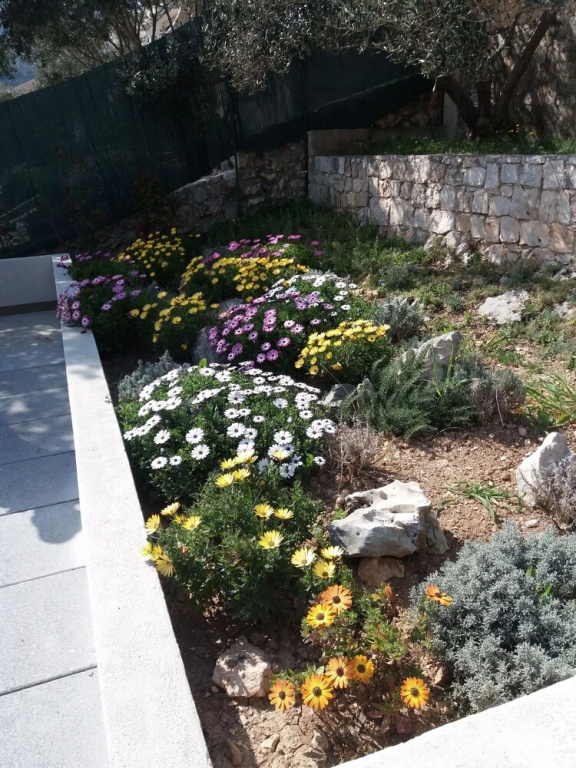 Holiday Rental House