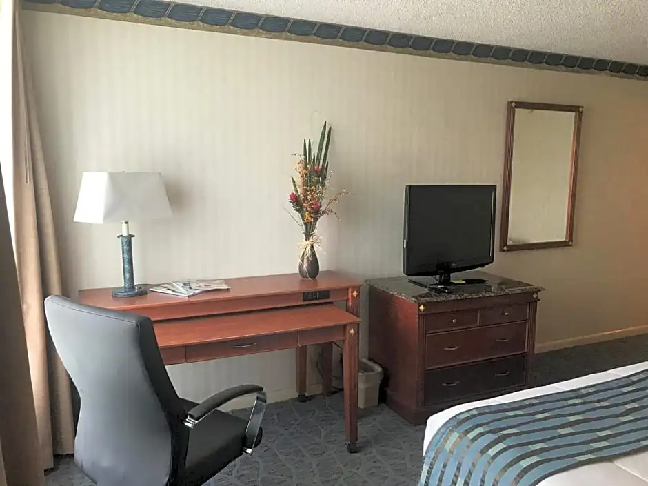 1 Bedroom Standard room