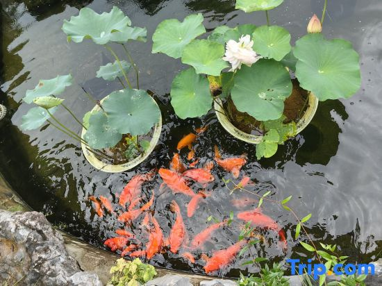 Wuyuan Heguangse B&B