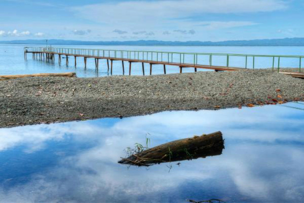 Playa Nicuesa Rainforest Lodge - фото 4