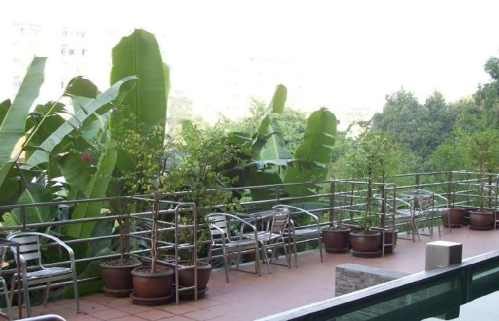 Hotel photo 19