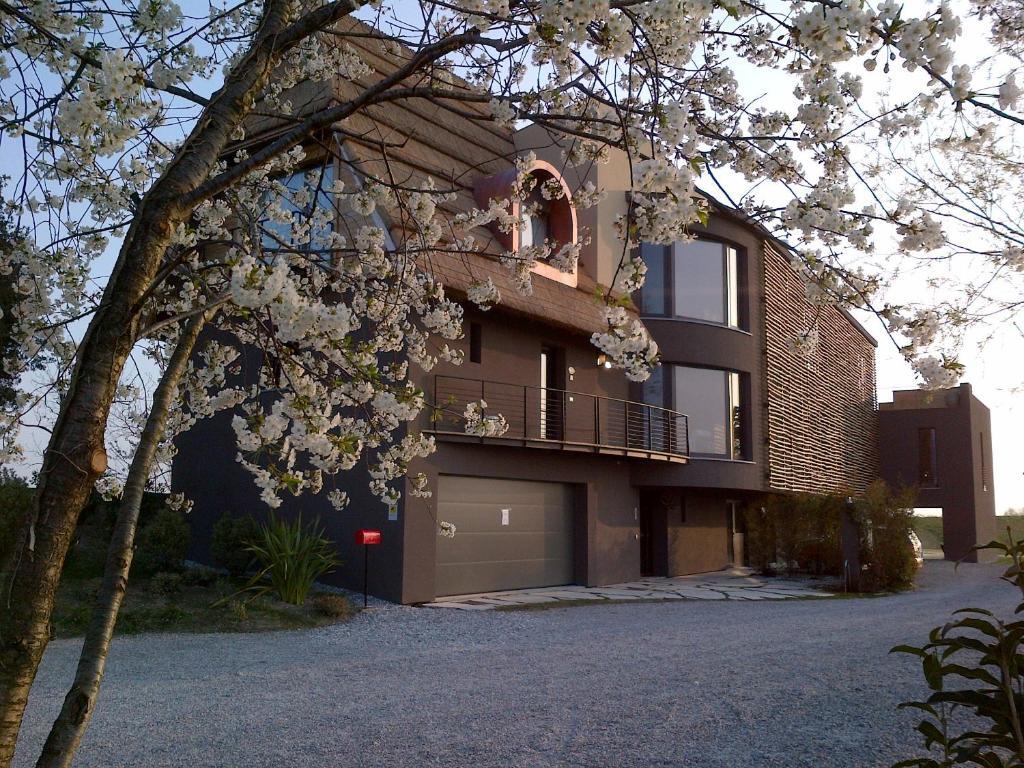 Wild Geese Boutique Hotel by null