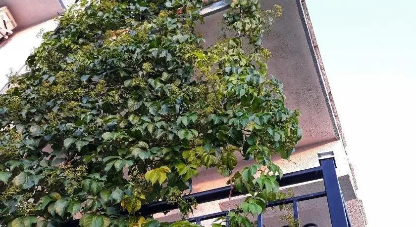 HOTEL Apartament Festim Caca