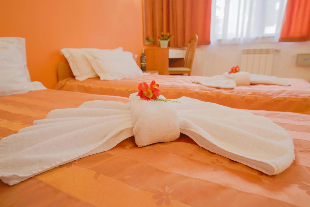 Apart Hotel Flora Residence - Général