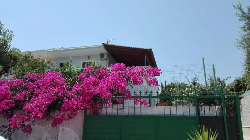 Apartments Boci
