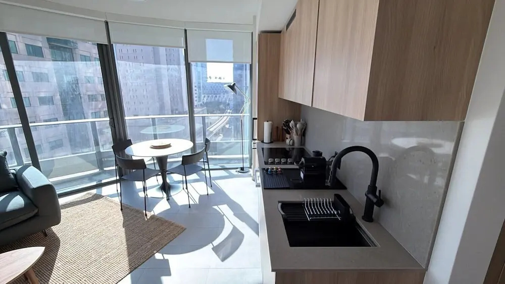 1 Bedroom Apartment with city view