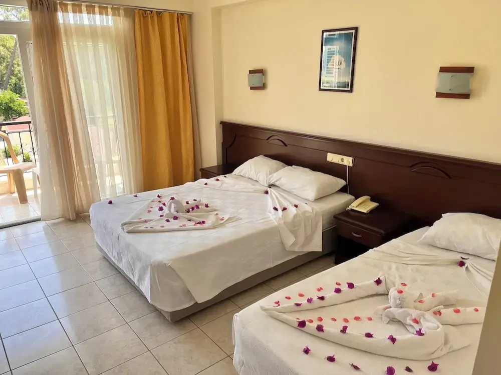 Standard room with balcony and with mountain view