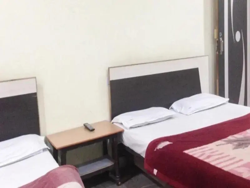 Hotel Gujarat Heritage - Chambres