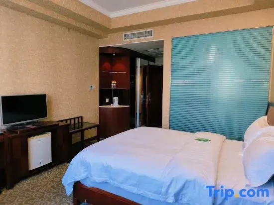 Standard Double room with city view (full double bed)