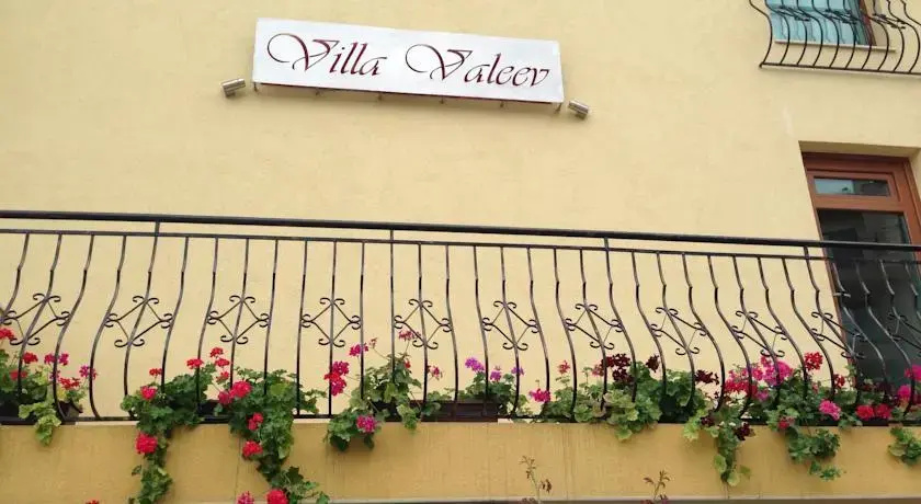 Villa Valeev
