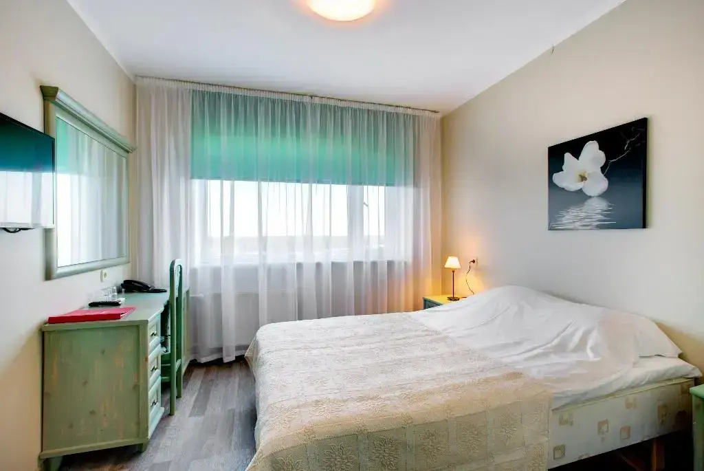 Hotel Dzingel - Général