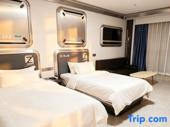 Comfort Double room with city view (twin beds)