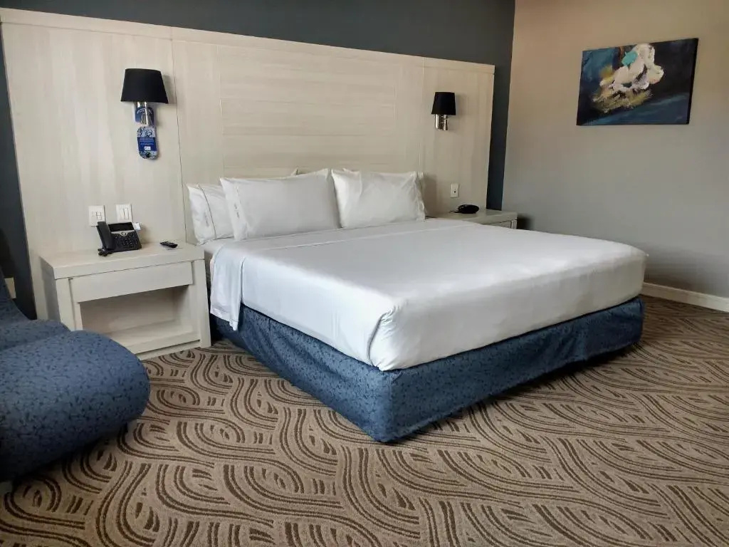 Holiday Inn Express Pachuca by IHG - Chambres