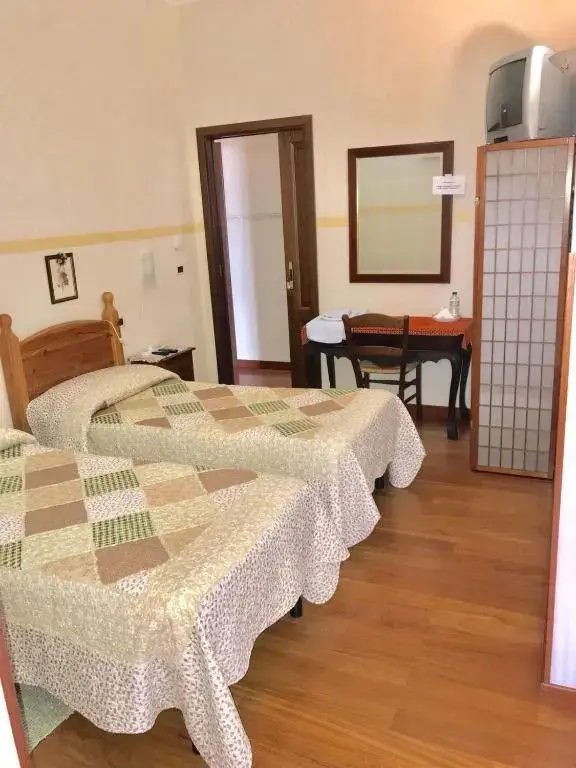Standard Double room (twin beds)