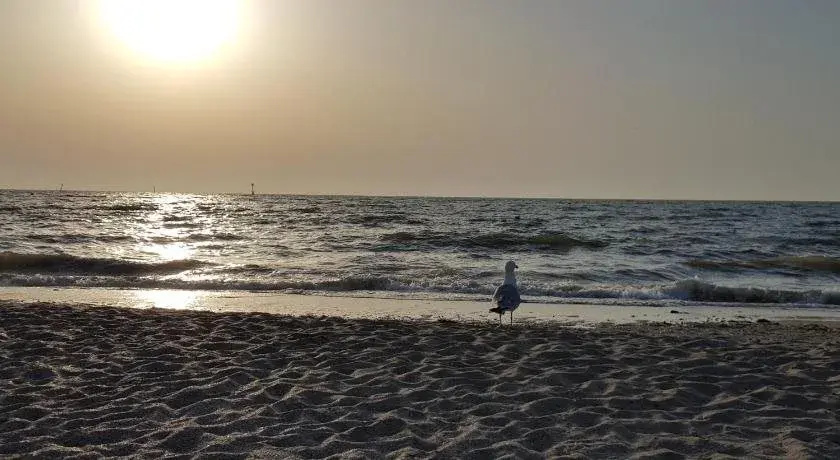 Beach & Waterfront