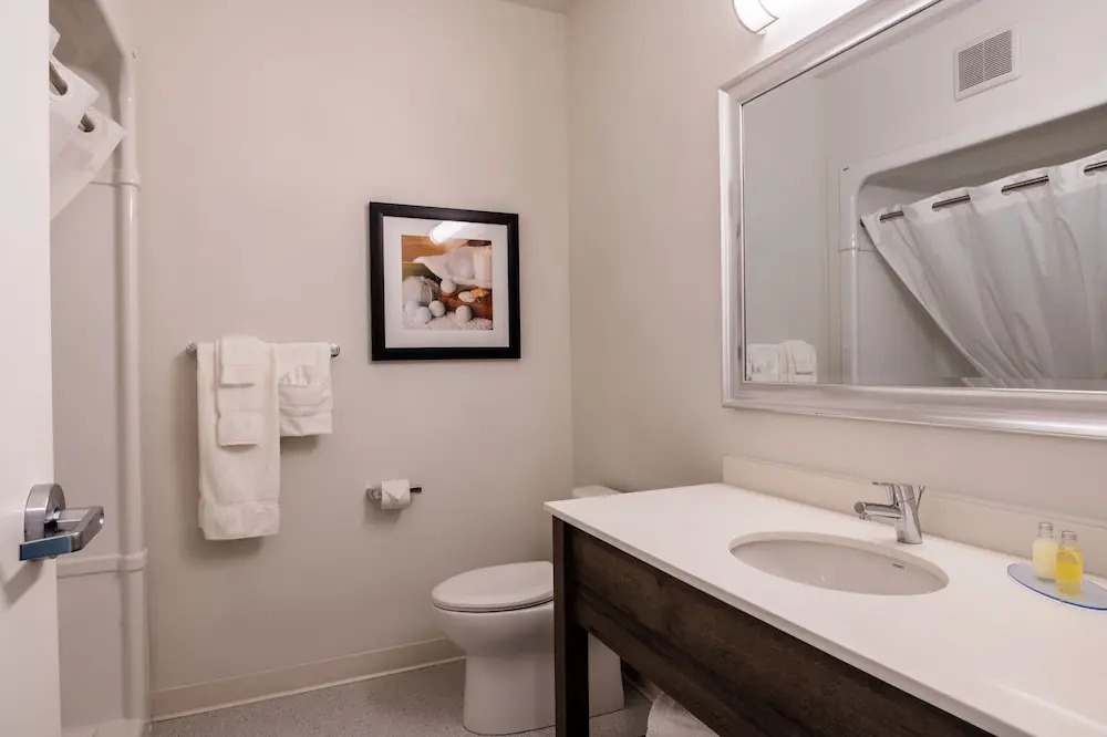 Amsterdam Inn & Suites, an Ascend Collection Hotel - фото 10