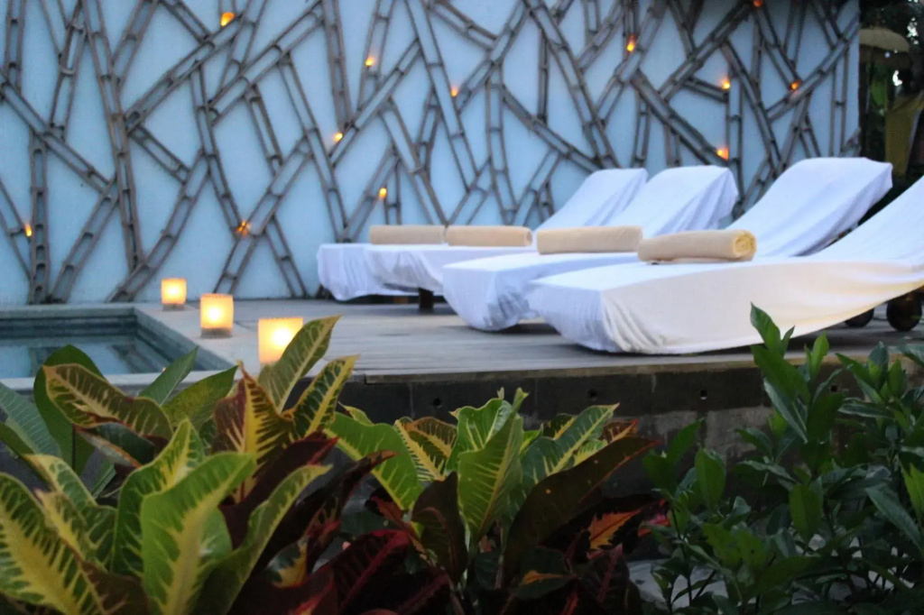 Ubud Padi Villas - Général