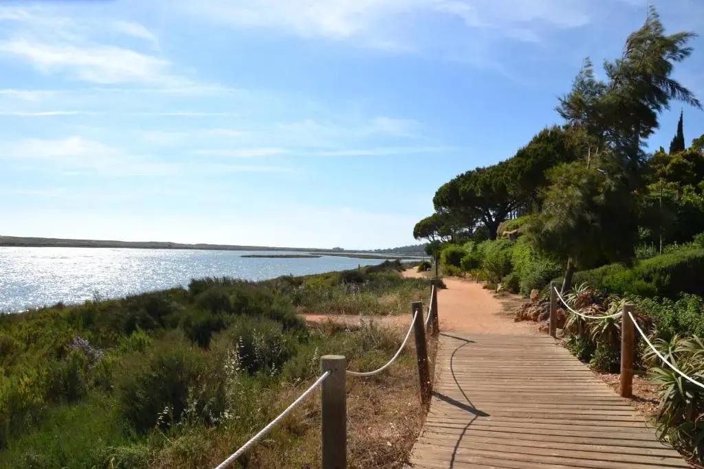 Beach & Waterfront