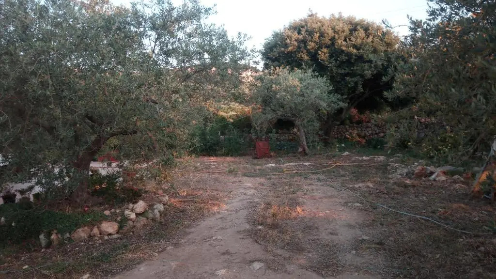 Residence degli ulivi