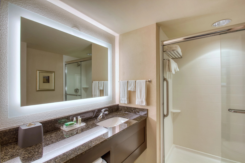 Holiday Inn Hotel & Suites Atlanta Airport-North by IHG - Général
