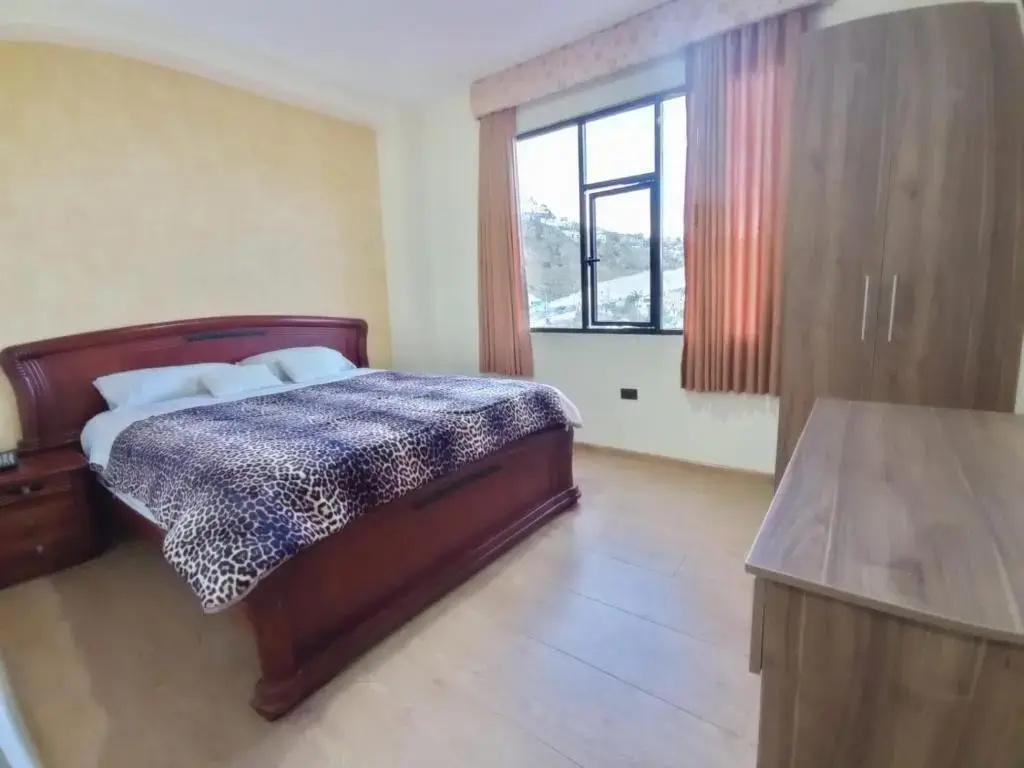 Standard Double room (full double bed)
