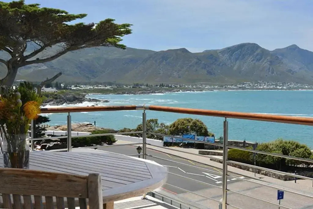 Hermanus Seaview Apartment