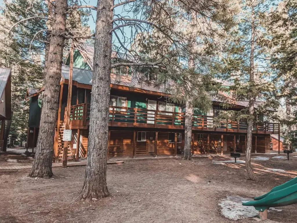 Pinewoods Resort - Chambres