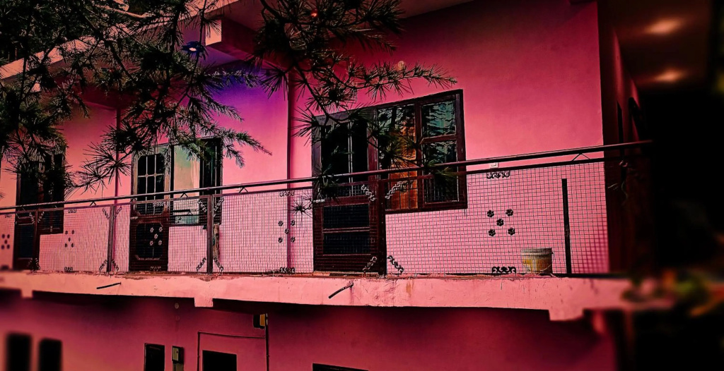 Peace holiday homestay