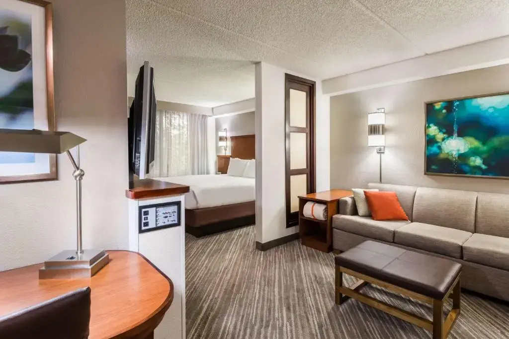 Hyatt Place Atlanta/Duluth/Johns Creek - Chambres