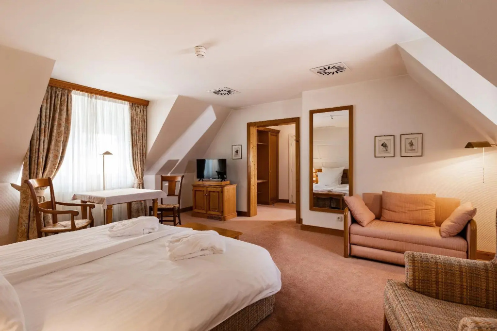 Hotel & Spa A la cour d'Alsace by HappyCulture - Général