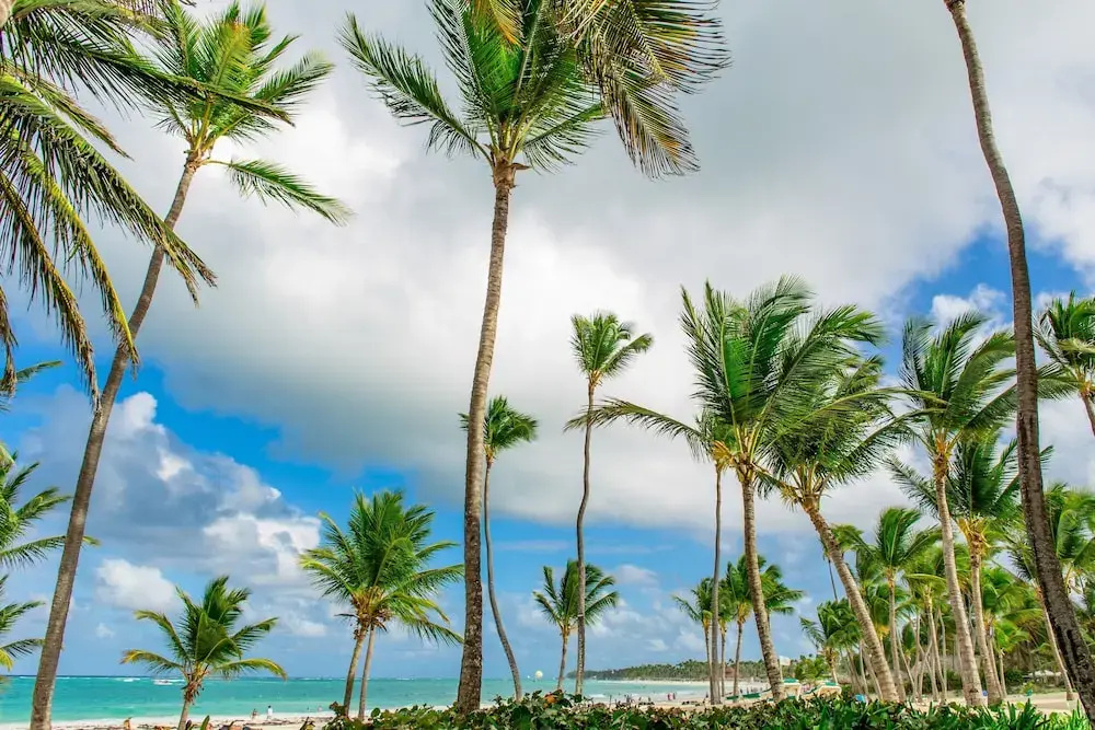 Beach & Waterfront