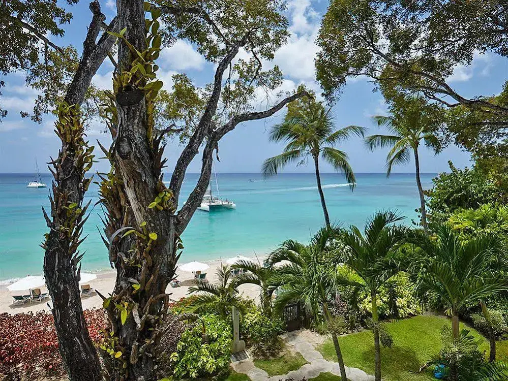 Coral Cove Beachfront Villas - Général