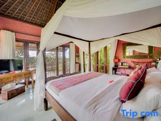 1 Bedroom Standard room with view