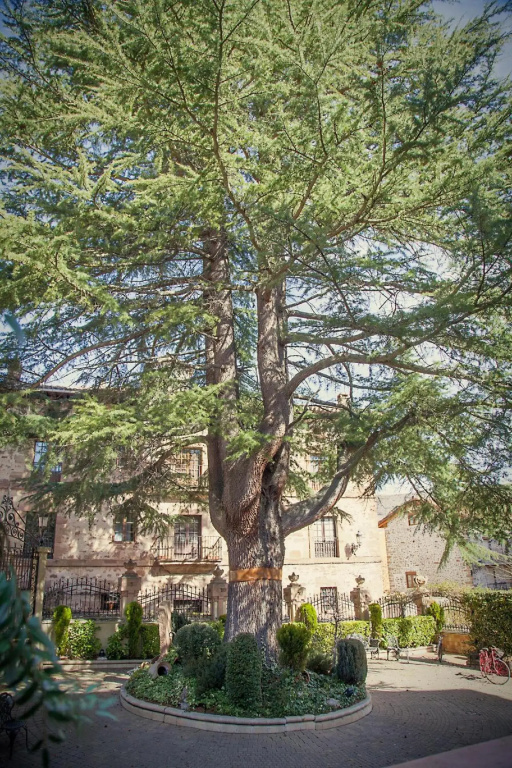 Hotel Palacio Azcárate - Général