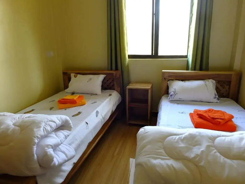 Standard Double room (twin beds)